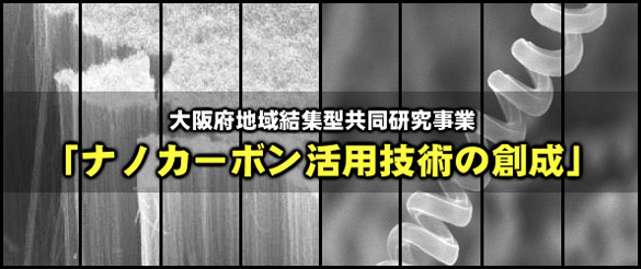大阪府地域結集型共同研究事業「ナノカーボン活用技術の創成」